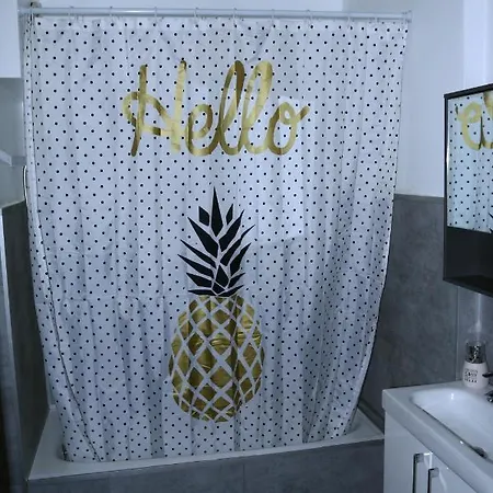 Appartement Grand 4 Couchages Proche